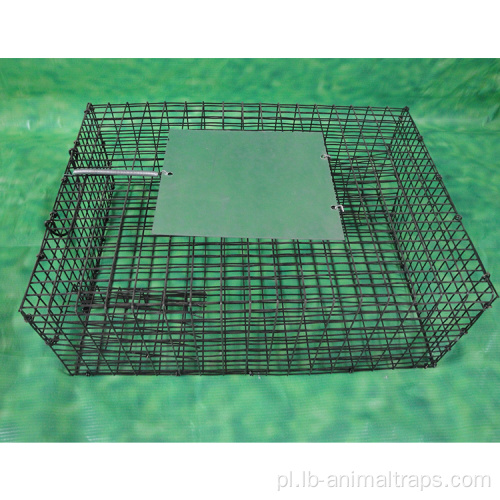 Wielokrotnego użytku Humane Live Animal Catch Cage Pułapka